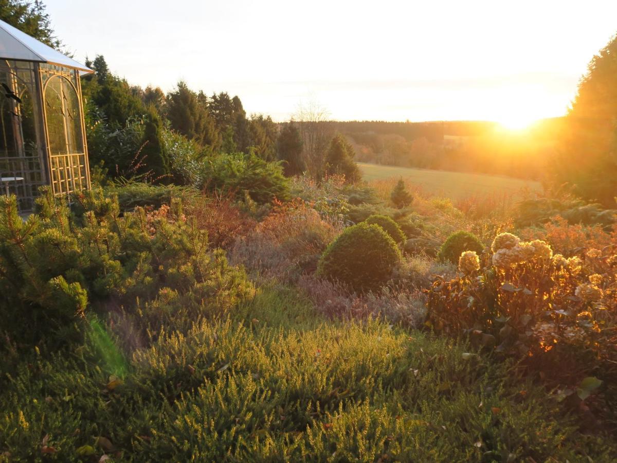 Hohegeiß Ferienhaus Sonne, Harz Und Sterne מראה חיצוני תמונה